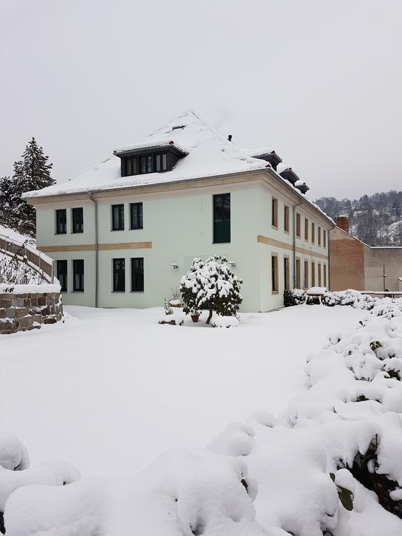 Pension Am Finkenberg Sebnitz Exterior foto