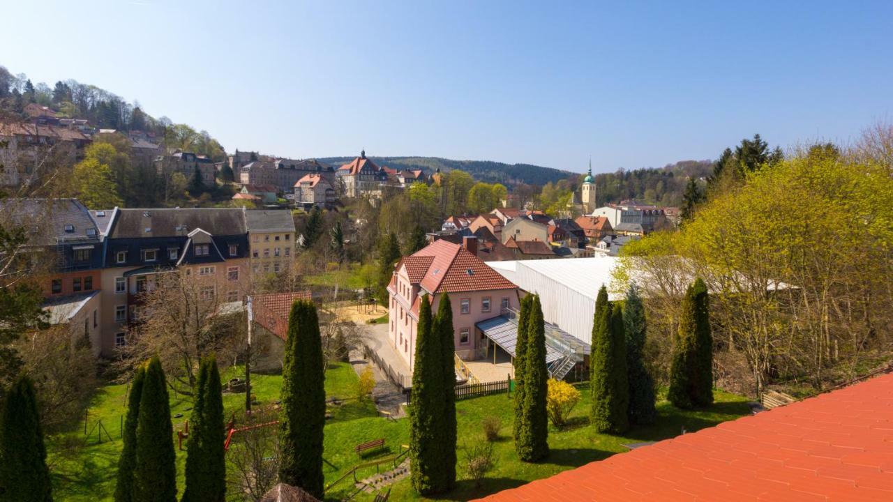 Pension Am Finkenberg Sebnitz Exterior foto
